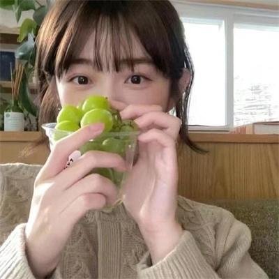 豆家族